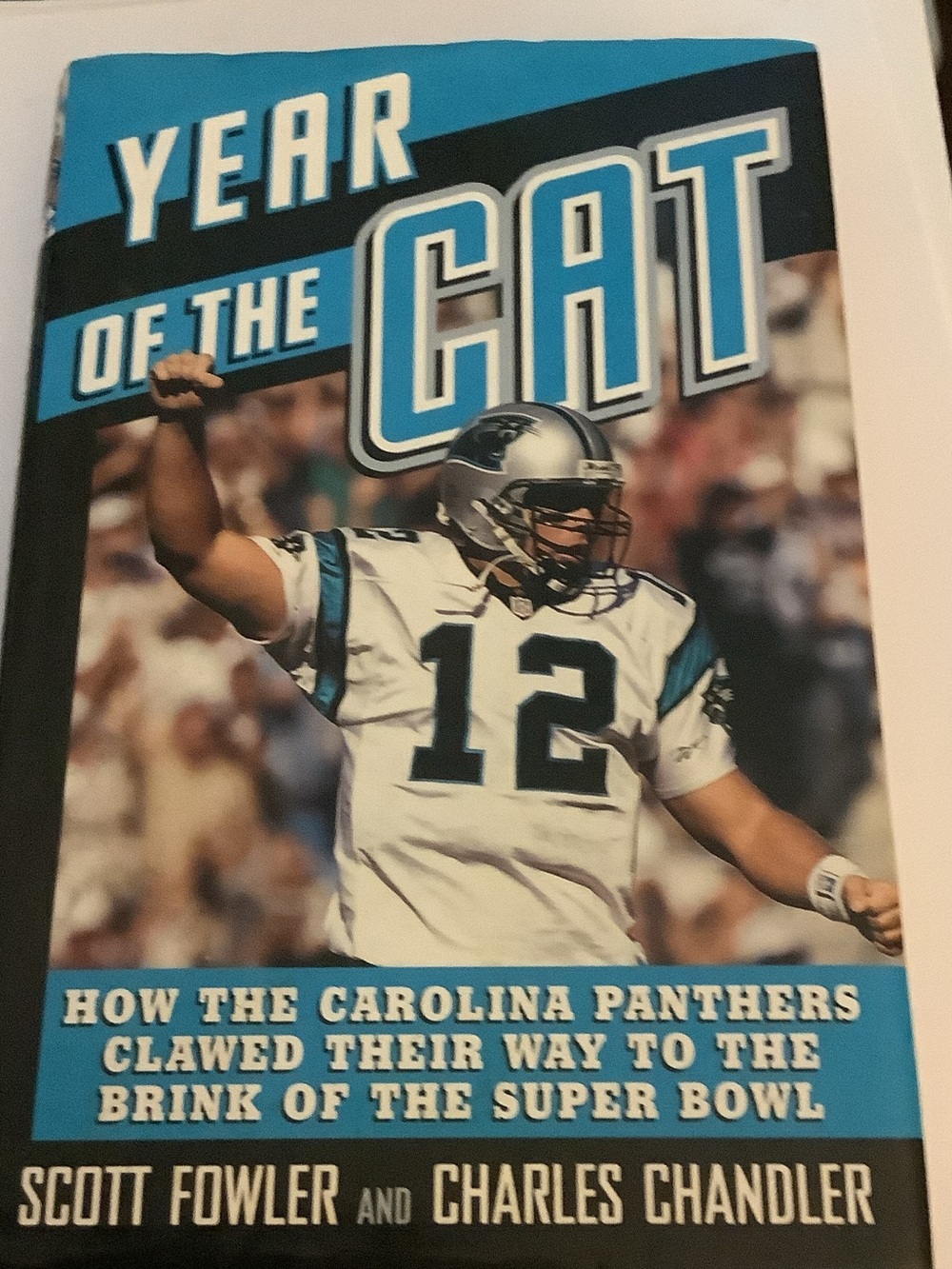 Year of the Cat - Carolina Panthers Football Book